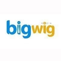 Bigwigmedia Delhi