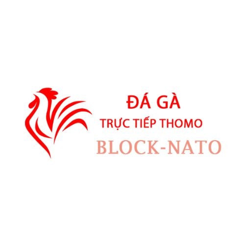 Đá Gà Trực Tiếp Thomo