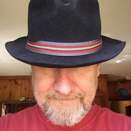 || Tracy Shea || 💡