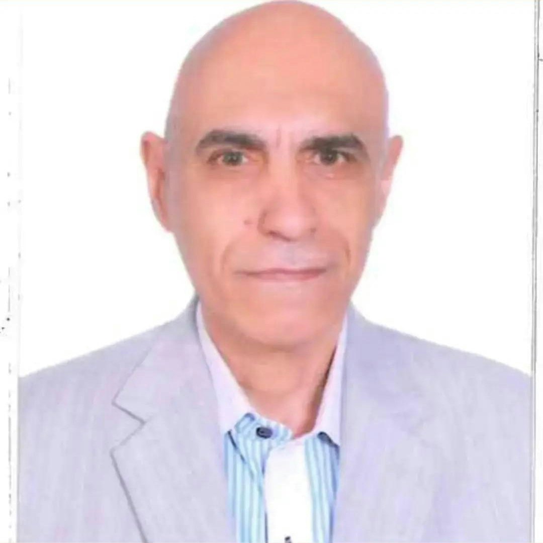 د.مجدي عامر