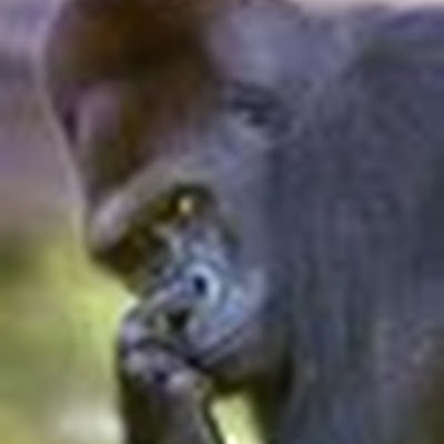 Ricardo Borges dos Santos