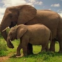 Touloubitsa Touloubitsa