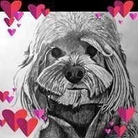 Nancy Sherman Shrier