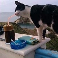 Dimitris Sourmelidis