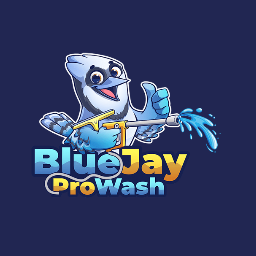 Blue Jay Pro Wash