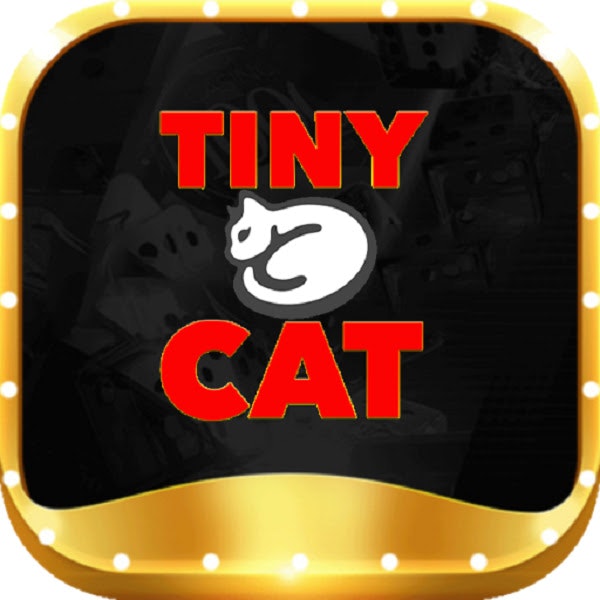 Tinycatcom co