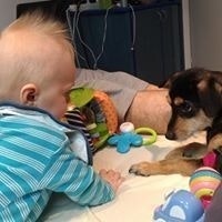 Aleksandra Todorovic