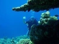 Игорь Маннянов