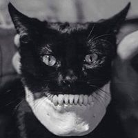 Zarakovitis Thanassis