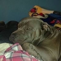 Mehys Alcantara Nuñez