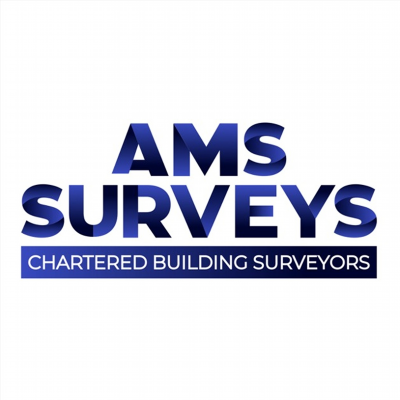 AMS SURVEYS