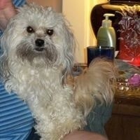 Catherine Klingenbeck Cappel