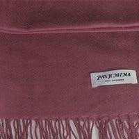 Pashmina Cashmere
