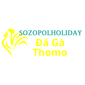 Đá Gà Trực Tiếp Thomo