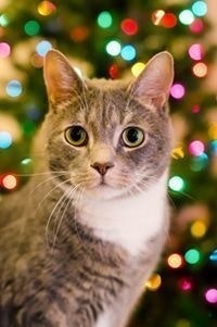 Zuck Wiltse-Weisbein