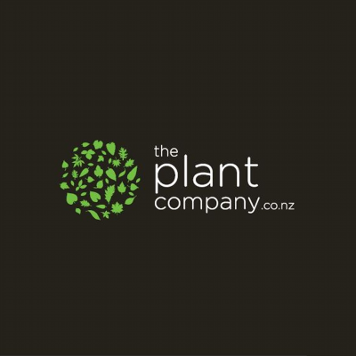 The Plant Company