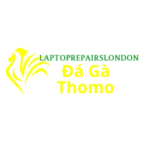 Đá Gà Trực Tiếp Thomo