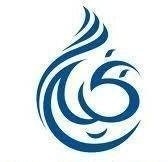 Anees Ahmed IbnrajMohammed