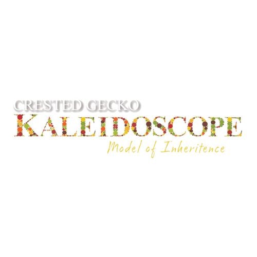 Crested Gecko Kaleidoscope
