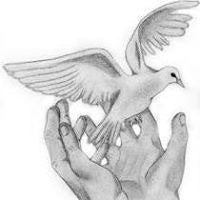 عبدالقادر عماري