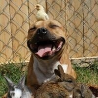 Наталья Яновская