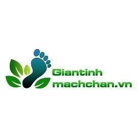 Giãn tĩnh mạch chân
