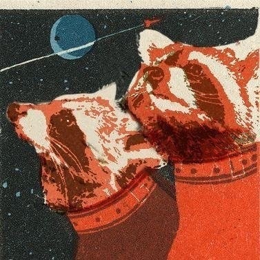Interstellar Racoons
