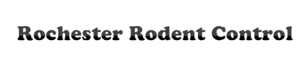 Rochester Rodent Control