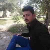 انور الكرعاوي