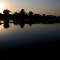 احمد المحنه