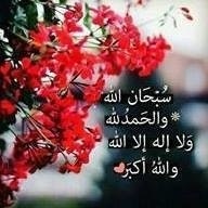 أحمد عبدالشافي