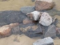 Наум Приходящий