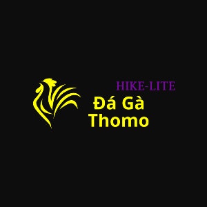 Đá Gà Trực Tiếp Thomo