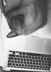 Христо Панайотов