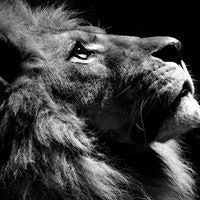 Николай Лухманов