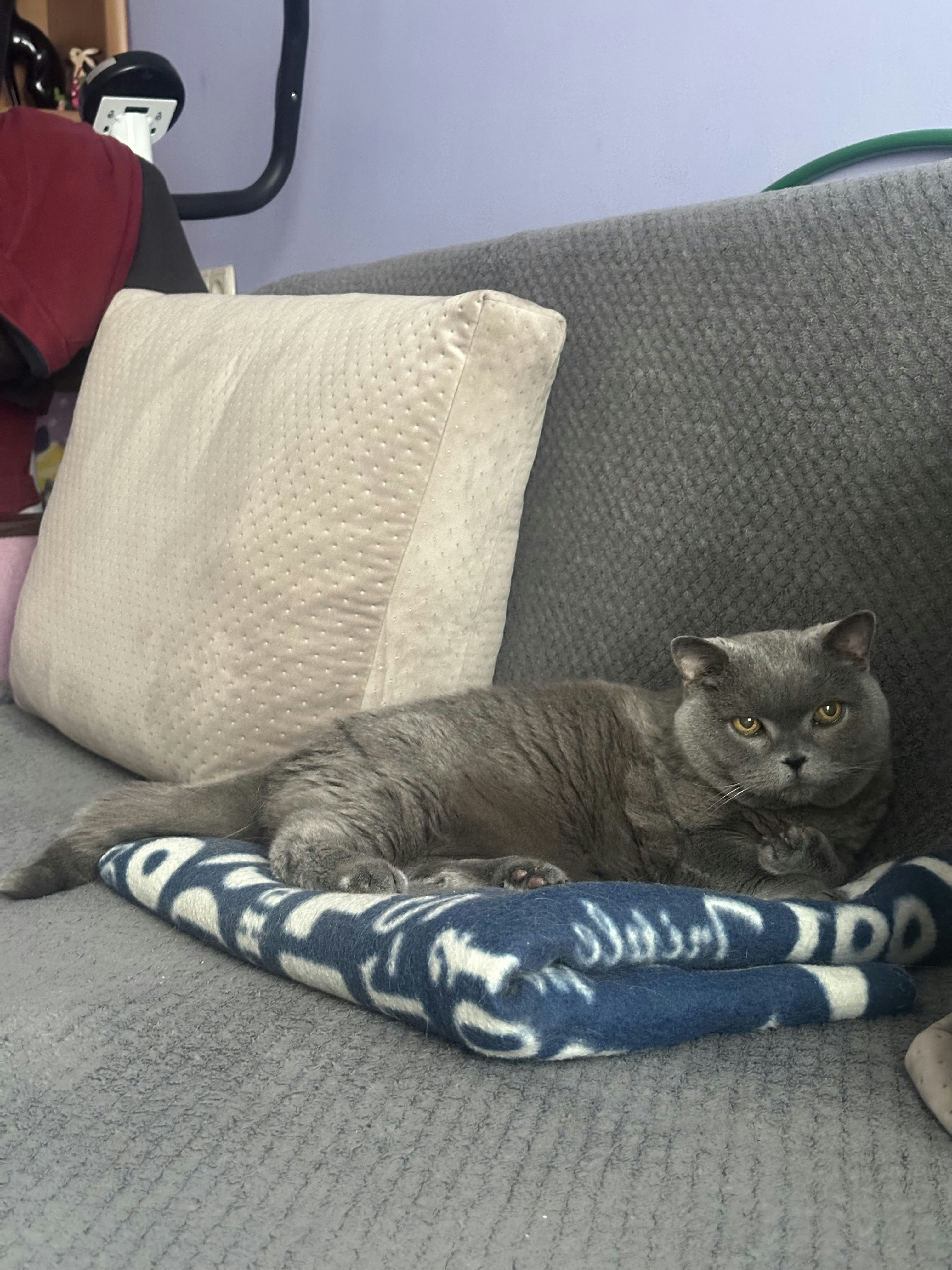 Viktoriia Komarovska