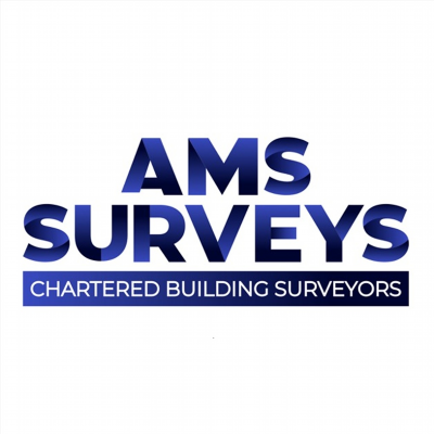 AMS SURVEYS