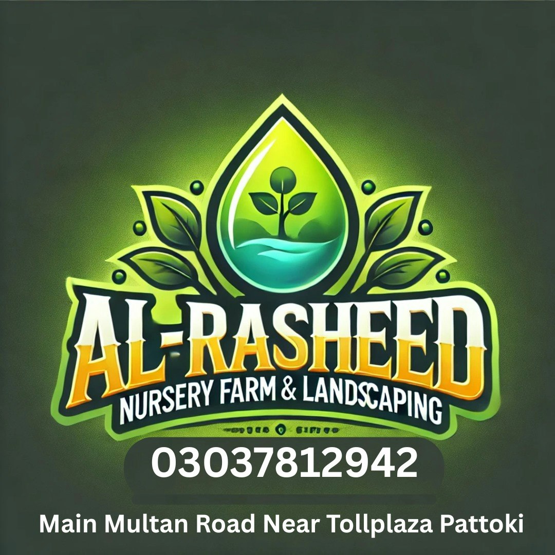 Al Rasheed Nursery Farm Pattoki