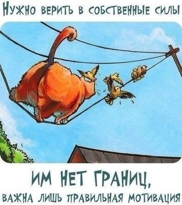 Котофей Котофеич