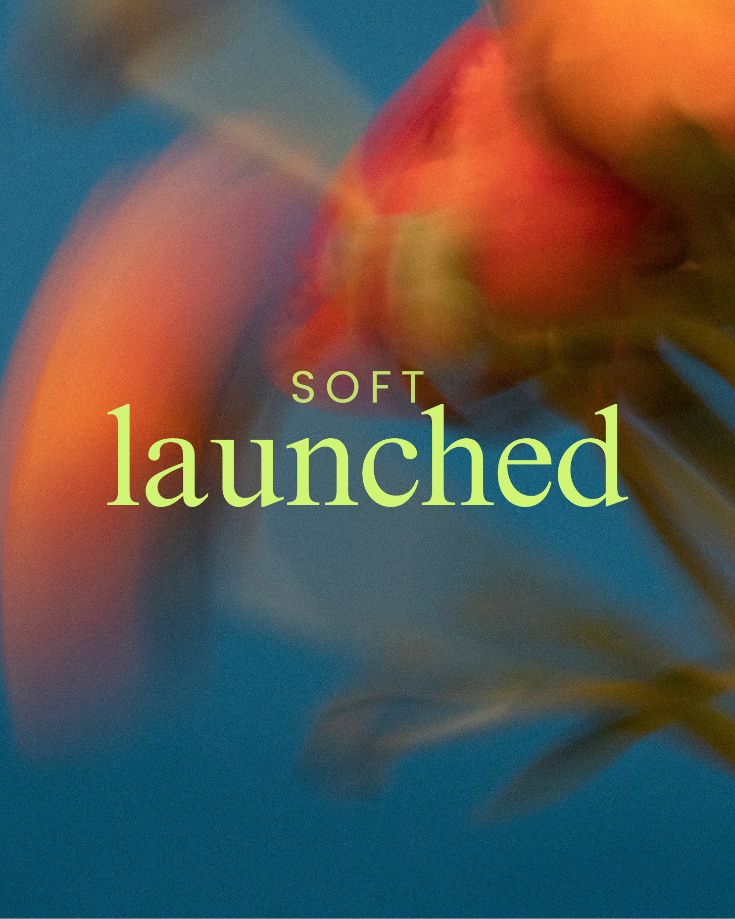 Soft Launched