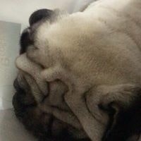 Charlene Claire Soan