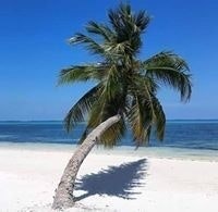 Naseer Ahmad Khamosh