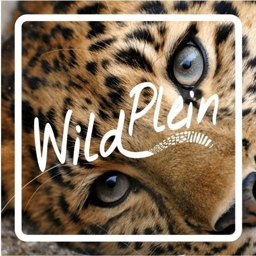 Wild Plein