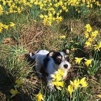 CarolandJim McFarland