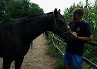 Aleksandar Stevanovic