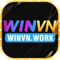 winvnwork1