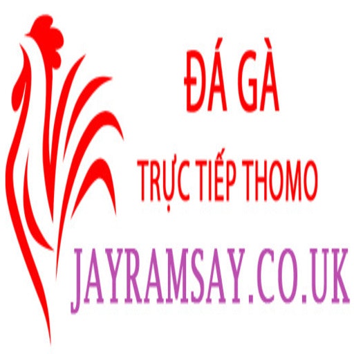 Đá Gà Trực Tiếp Thomo
