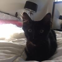 Debbie McRae Danielson