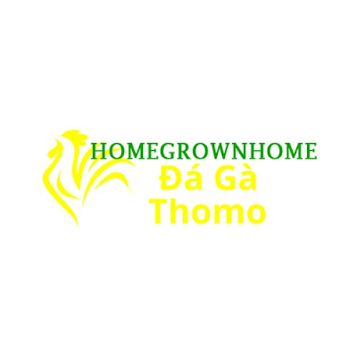 Đá Gà Trực Tiếp Thomo