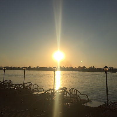 Олена Гринчук